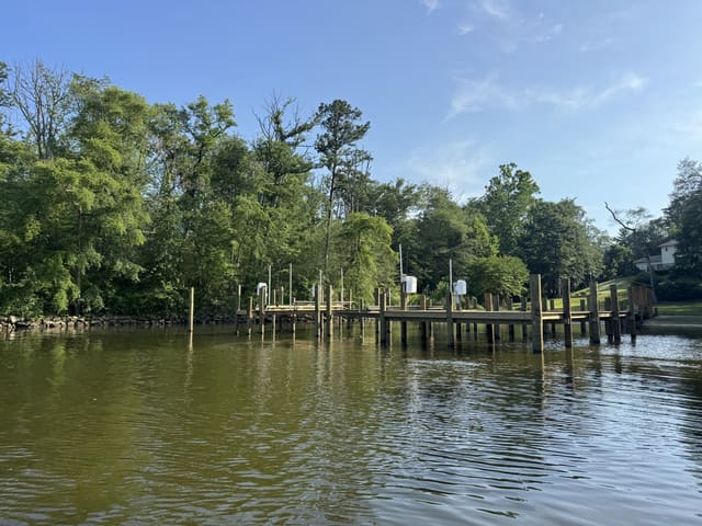 Shoreline Protection